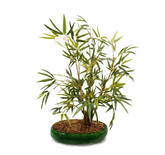 Artificial Bamboo Bonsai Tree - 1.6ft